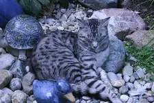 Juli2511.webp