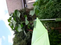 20170722_142716.webp