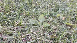 20170816_202926.webp