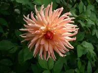 DSCI0626.webp