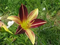 IMG_sä 18_1024x768.webp