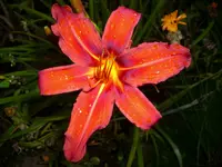 DSCI0639.webp