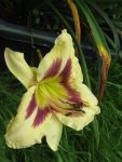 005_576x768.JPG