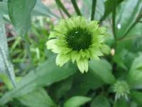 007_1024x768.webp
