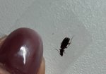 20170818_104527.jpg