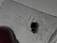 20170818_104548.jpg