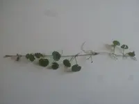 20170818_131254.jpg