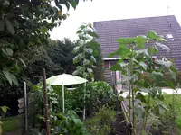 20170818_142010.webp