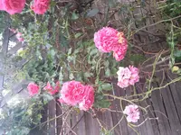 2017-08-18 19.11.45.webp