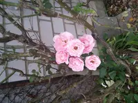 2017-08-18 19.11.52.webp