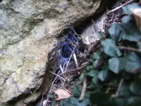 BILD7699.webp