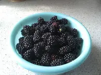 BILD8055.webp