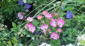 DSCF9860 (2).webp