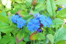 DSCF9838 (2).webp