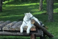 DSCF9796 (2).webp