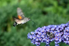 DSCF9871 (2).webp
