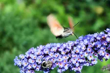 DSCF9872 (2).webp