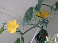 B31.JPG