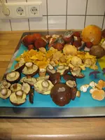 018_576x768.webp