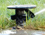 Nahaufnahme vom RAIN-BIRD  Maxi-Paw Pop up Impact-Sprinkler-1.JPG