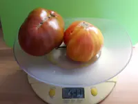 20170820_115257.webp