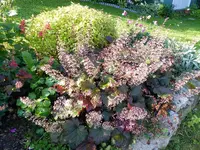 P1010547.webp