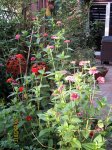IMG_8963.JPG