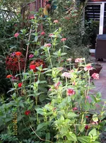 IMG_8963.webp