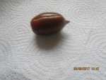 IMG_2204.JPG