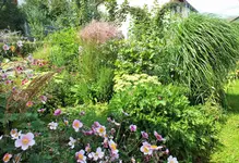 DSCF9882 (2).webp