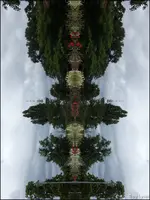 F035.webp