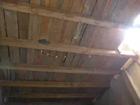 P1010512.webp
