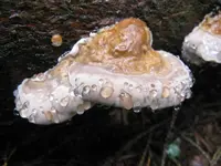 001_1024x768.webp