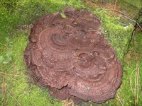 010_1024x768.webp
