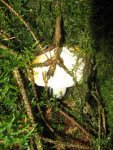 versteckt_576x768.JPG