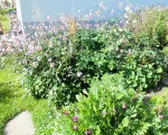 DSCF9902 (2).webp