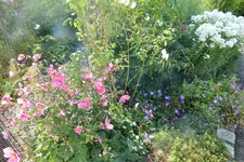 DSCF9911 (2).webp