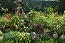 DSCF9908 (2).webp