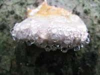 003_1024x768.JPG