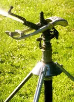 Nahaufnahme vom BUCKNER REGNER 522.webp