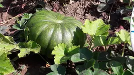 20170820_112826.webp