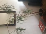 2017-08-23 10.30.05.jpg