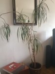 2017-08-23 10.30.05.jpg