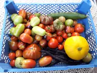 20170822_184312.webp