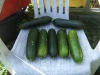 BILD8116.webp