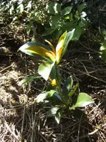 BILD8111.webp