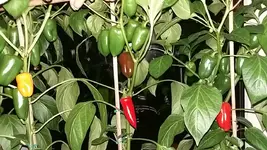 20170823_215825.jpg