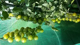20170822_171138.webp
