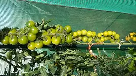 20170822_170917.webp