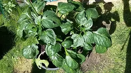 20170823_122841.webp